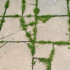 Как избавиться от травы между тротуарной плиткой